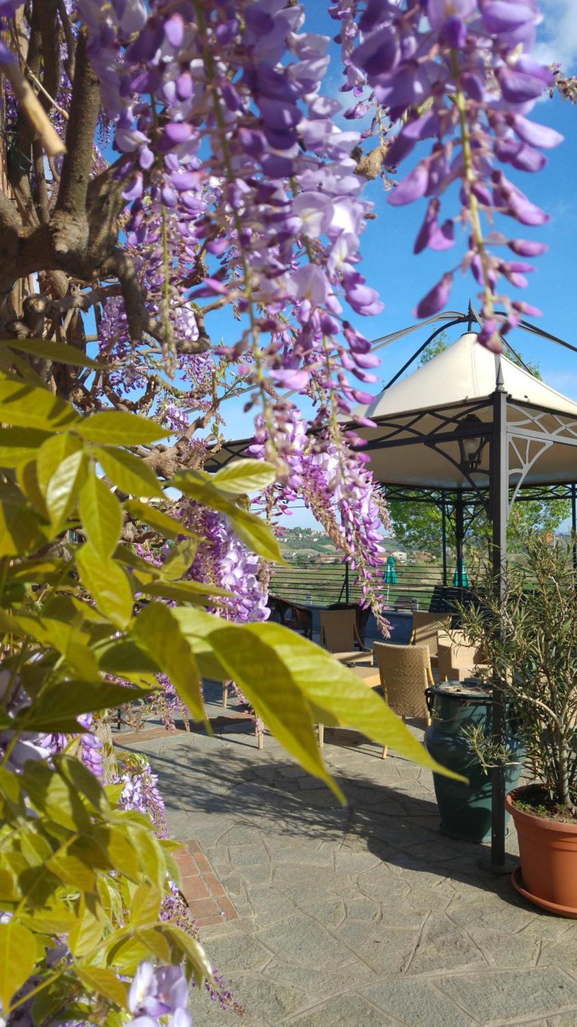 Locanda Del Boscogrande Montegrosso dʼAsti Zewnętrze zdjęcie