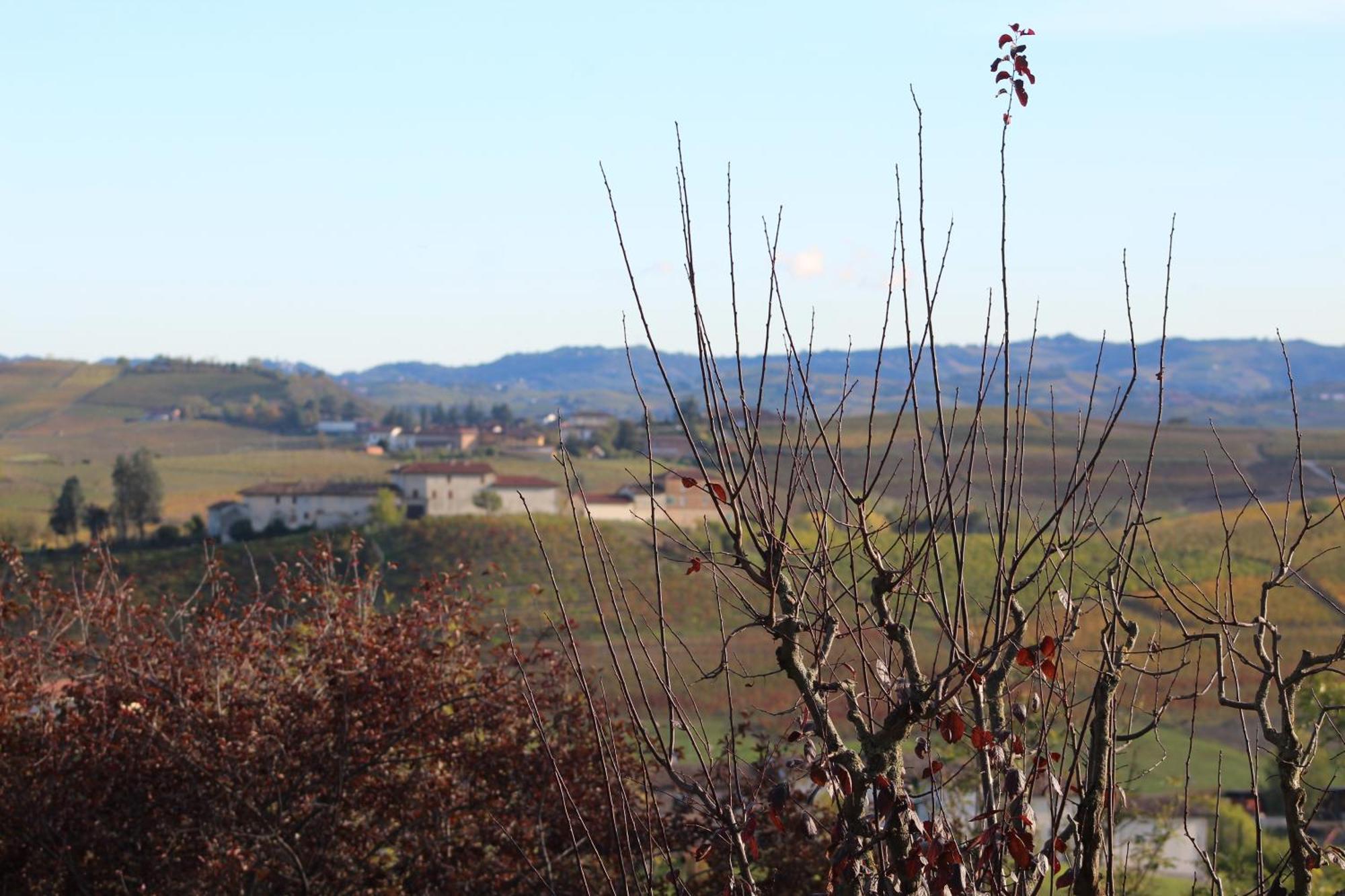 Locanda Del Boscogrande Montegrosso dʼAsti Zewnętrze zdjęcie