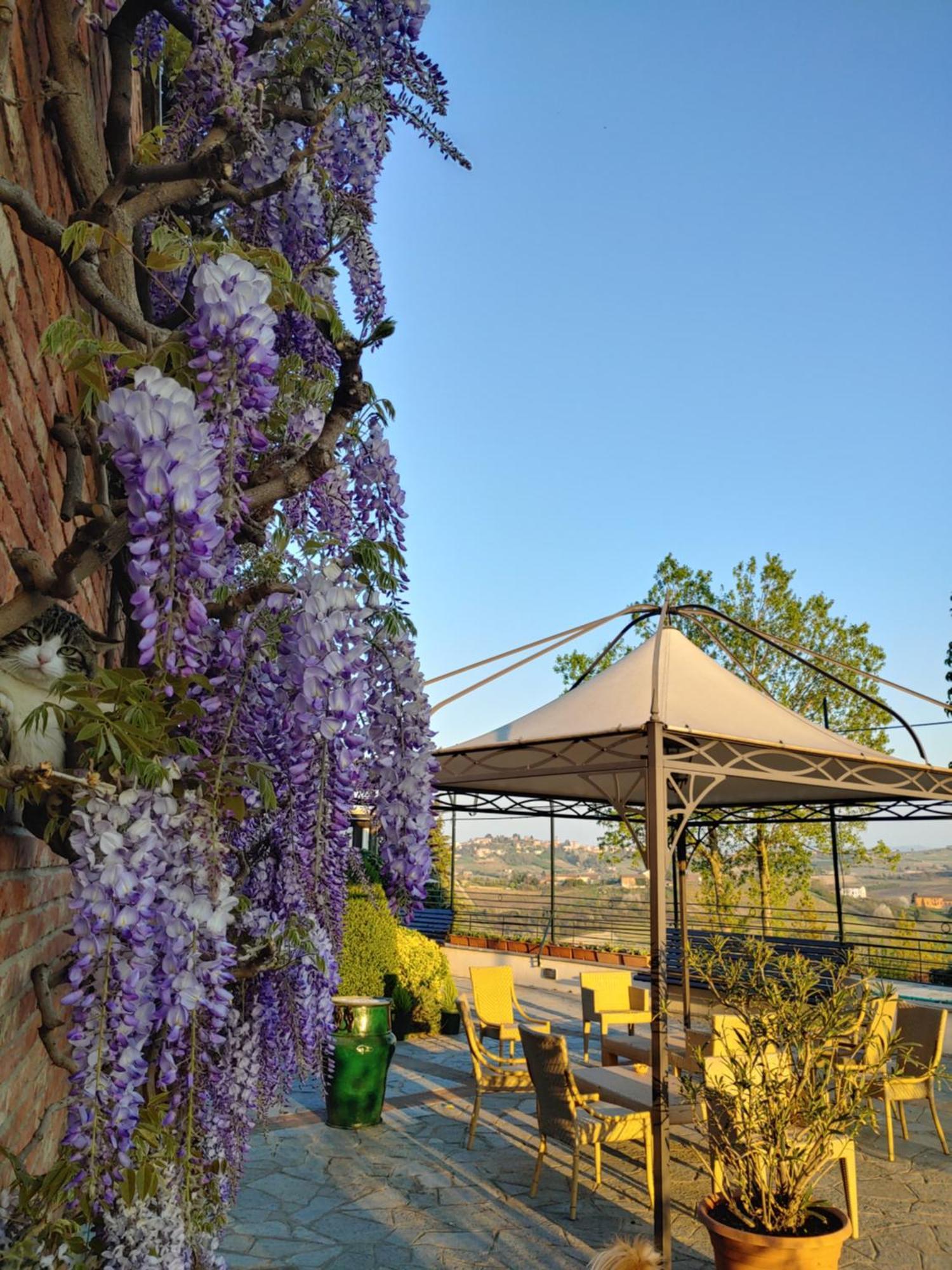 Locanda Del Boscogrande Montegrosso dʼAsti Pokój zdjęcie