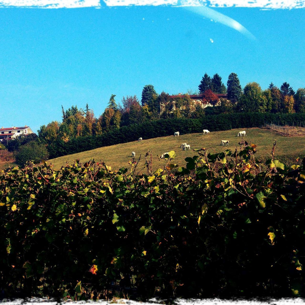 Locanda Del Boscogrande Montegrosso dʼAsti Zewnętrze zdjęcie